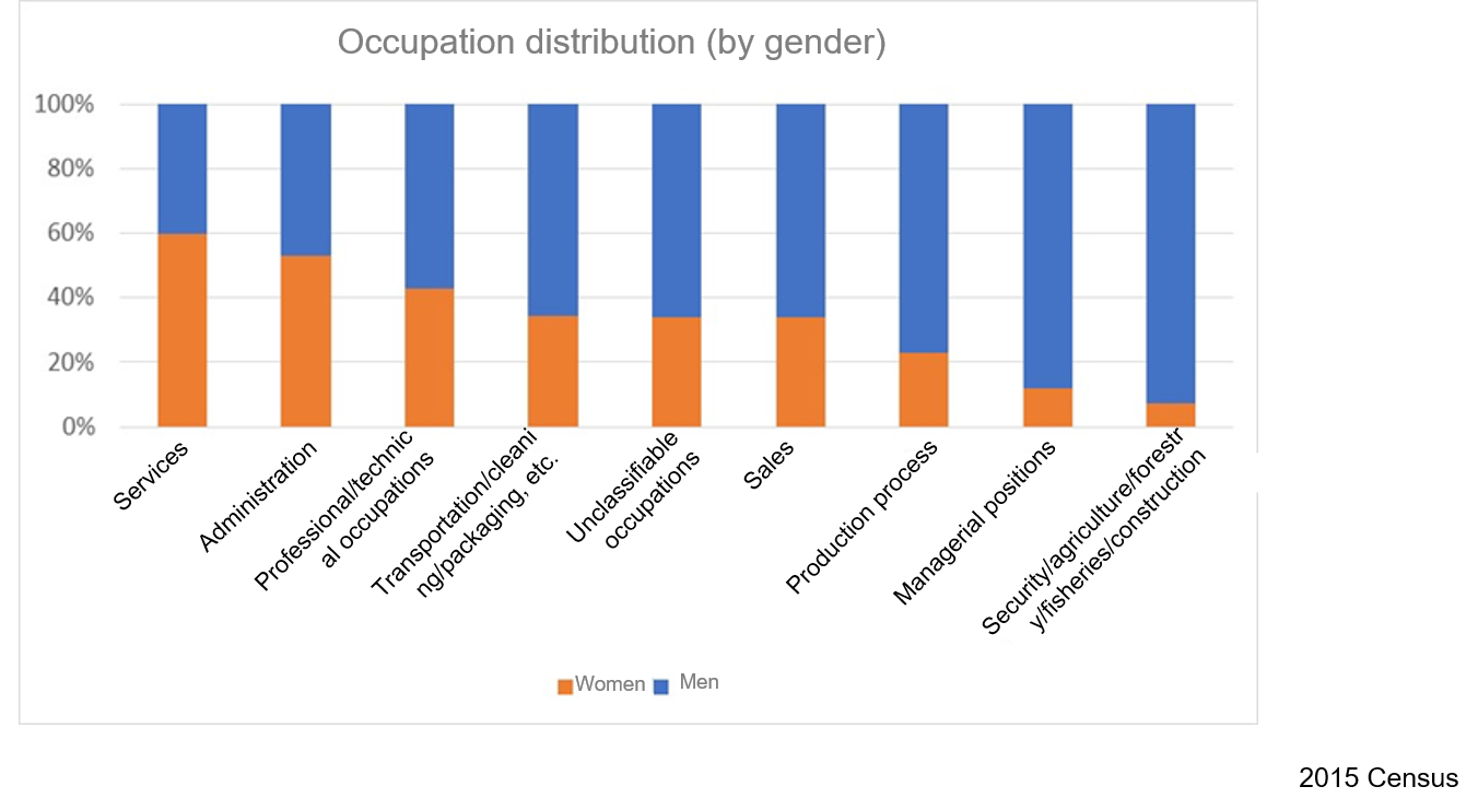 Occupations in which Women Engage