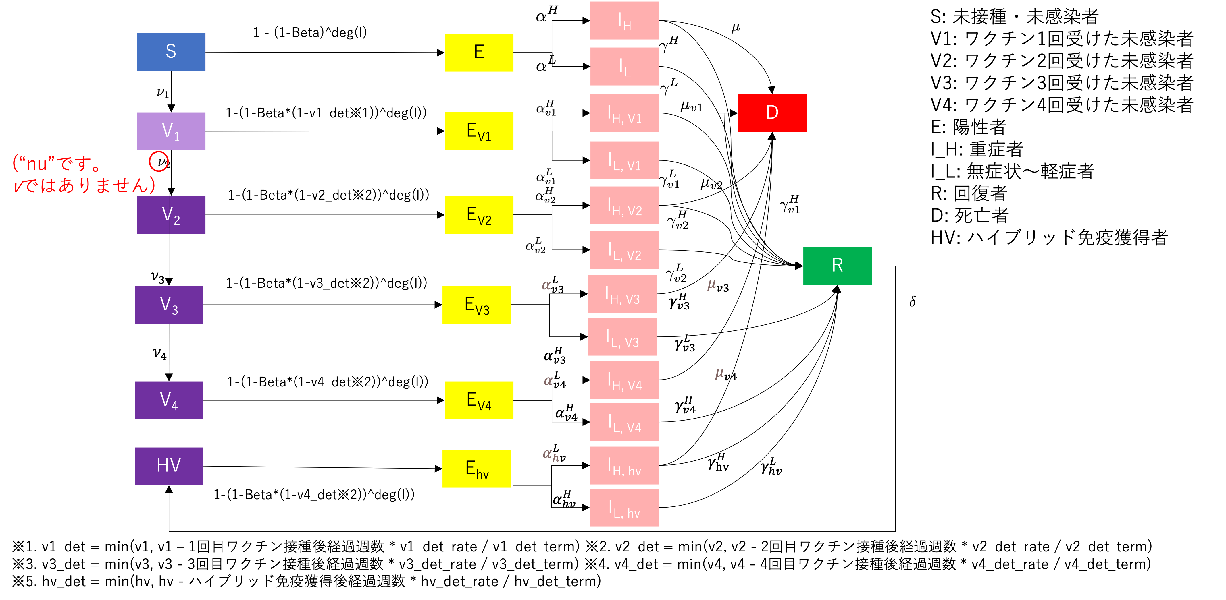 モデル（Ｂ）マルチレイヤーマルチSEIRフロー図示